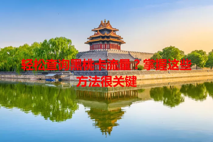 轻松查询黑桃卡流量？掌握这些方法很关键