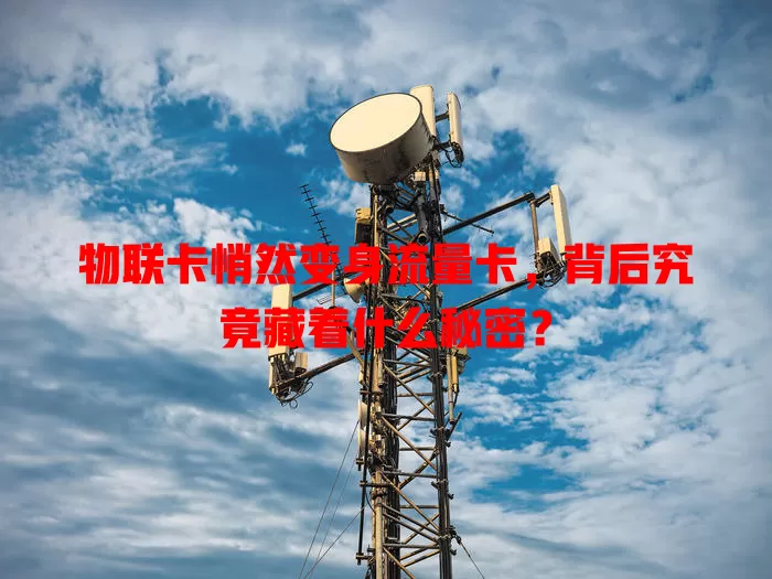 物联卡悄然变身流量卡，背后究竟藏着什么秘密？