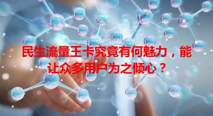 民生流量王卡究竟有何魅力，能让众多用户为之倾心？