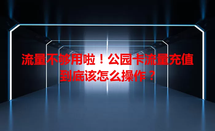 流量不够用啦！公园卡流量充值到底该怎么操作？