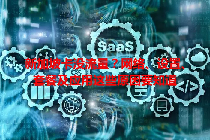 新加坡卡没流量？网络、设置、套餐及应用这些原因要知道