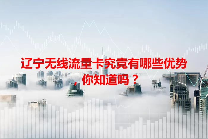 辽宁无线流量卡究竟有哪些优势，你知道吗？