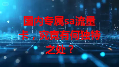 国内专属sa流量卡，究竟有何独特之处？