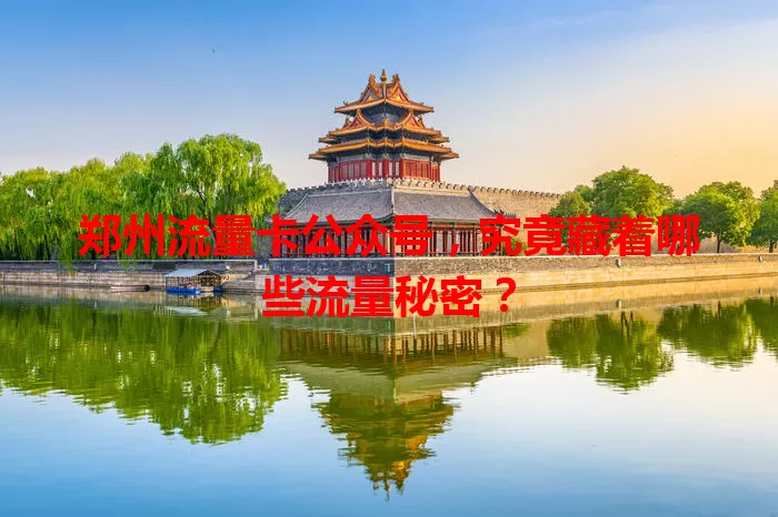 郑州流量卡公众号，究竟藏着哪些流量秘密？