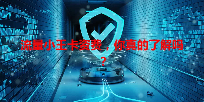 流量小王卡资费，你真的了解吗？