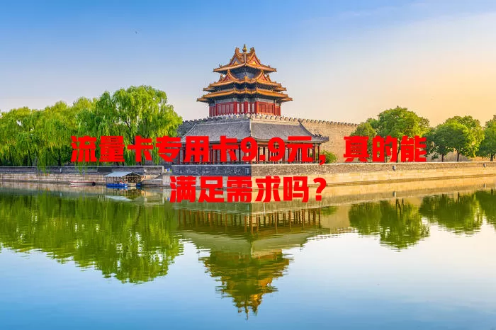 流量卡专用卡9.9元，真的能满足需求吗？