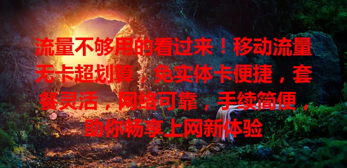 流量不够用的看过来！移动流量无卡超划算，免实体卡便捷，套餐灵活，网络可靠，手续简便，助你畅享上网新体验