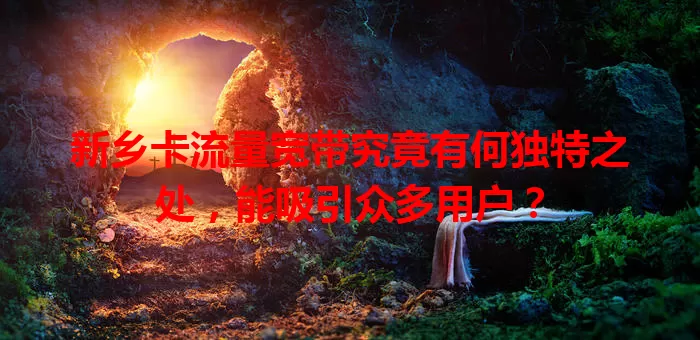 新乡卡流量宽带究竟有何独特之处，能吸引众多用户？