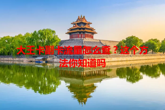 大王卡副卡流量怎么查？这个方法你知道吗