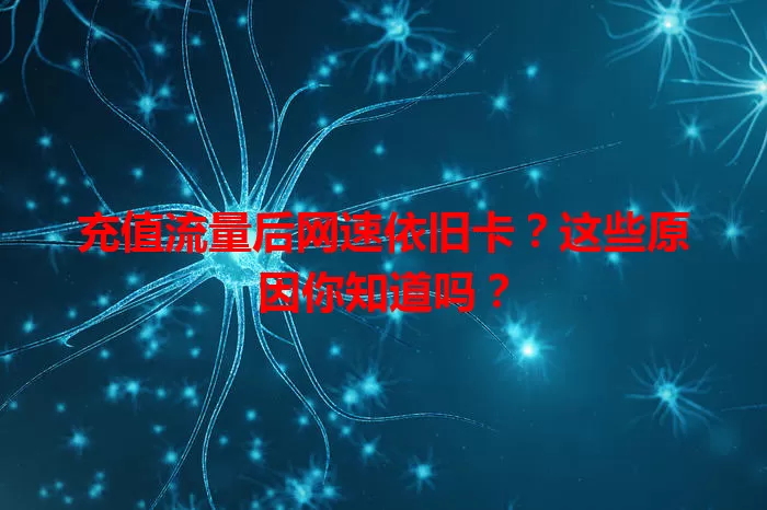 充值流量后网速依旧卡？这些原因你知道吗？