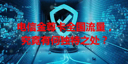 电信金尊卡全国流量，究竟有何独特之处？