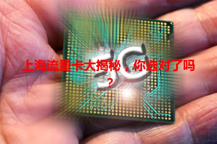 上海流量卡大揭秘，你选对了吗？