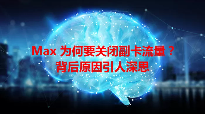Max 为何要关闭副卡流量？背后原因引人深思