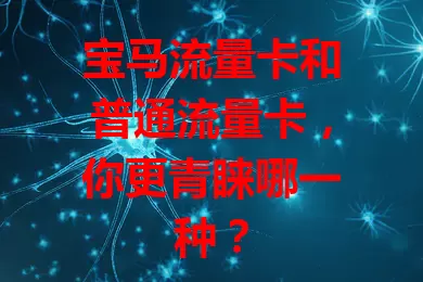 宝马流量卡和普通流量卡，你更青睐哪一种？