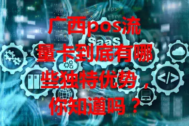 广西pos流量卡到底有哪些独特优势，你知道吗？