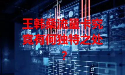 王韩桑流量卡究竟有何独特之处？