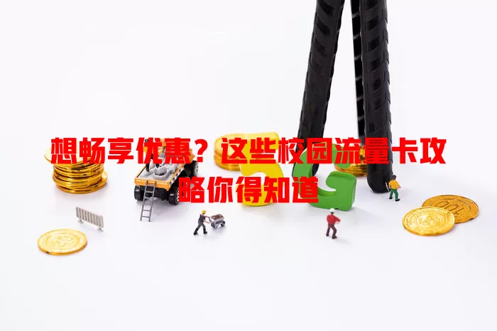 想畅享优惠？这些校园流量卡攻略你得知道