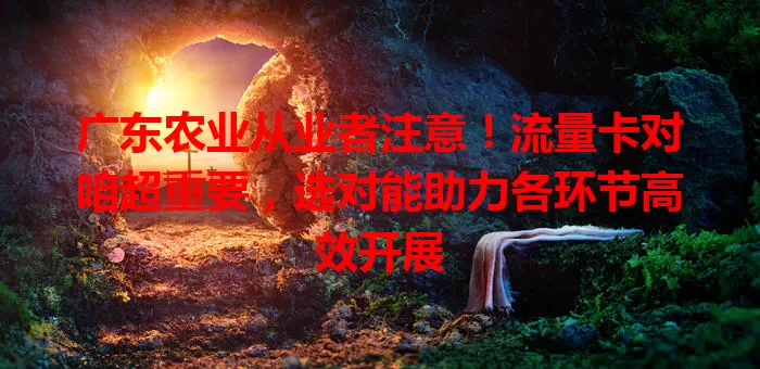 广东农业从业者注意！流量卡对咱超重要，选对能助力各环节高效开展