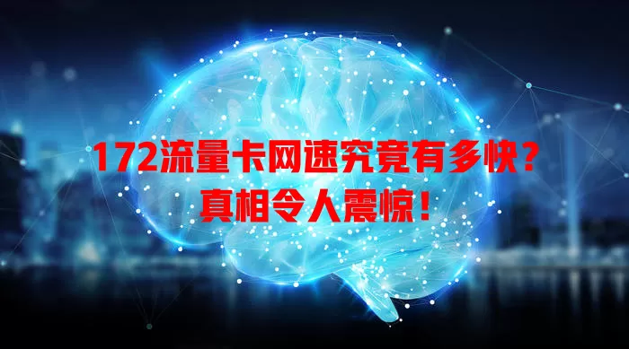 172流量卡网速究竟有多快？真相令人震惊！