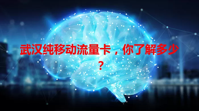 武汉纯移动流量卡，你了解多少？