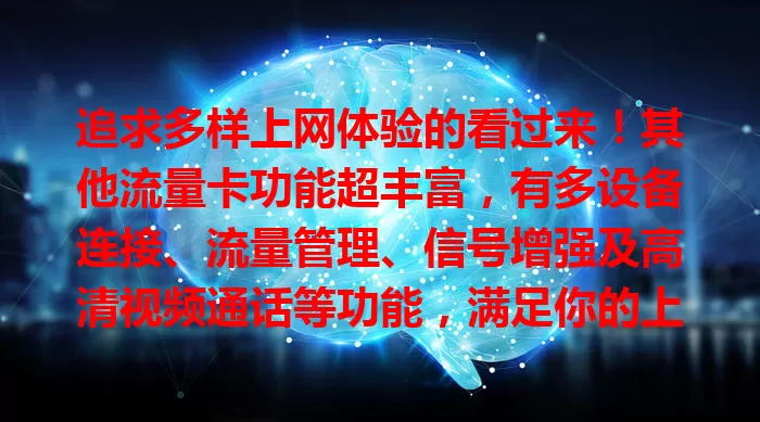 追求多样上网体验的看过来！其他流量卡功能超丰富，有多设备连接、流量管理、信号增强及高清视频通话等功能，满足你的上网需求