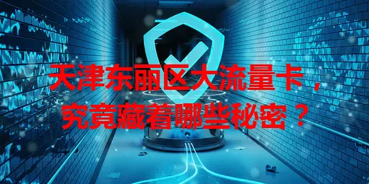 天津东丽区大流量卡，究竟藏着哪些秘密？