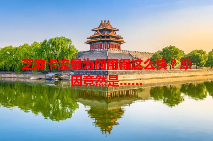 芝麻卡流量为何用得这么快？原因竟然是……