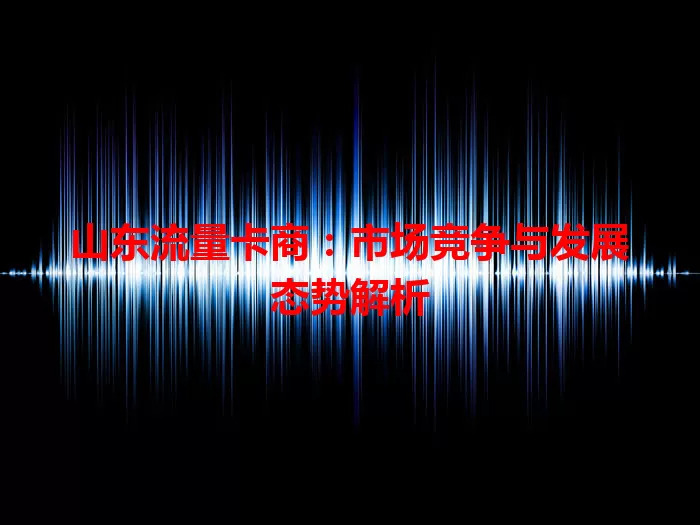山东流量卡商：市场竞争与发展态势解析