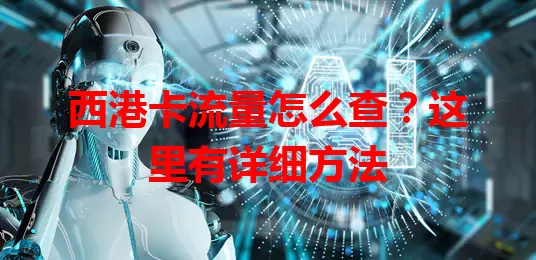西港卡流量怎么查？这里有详细方法