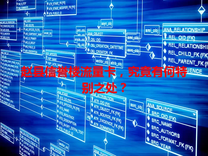 赵县信誉楼流量卡，究竟有何特别之处？