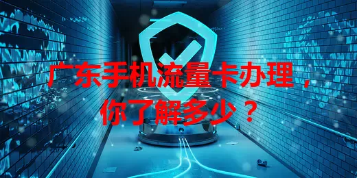广东手机流量卡办理，你了解多少？