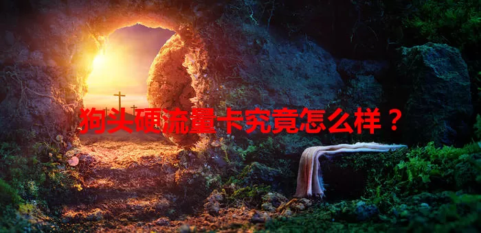 狗头硬流量卡究竟怎么样？