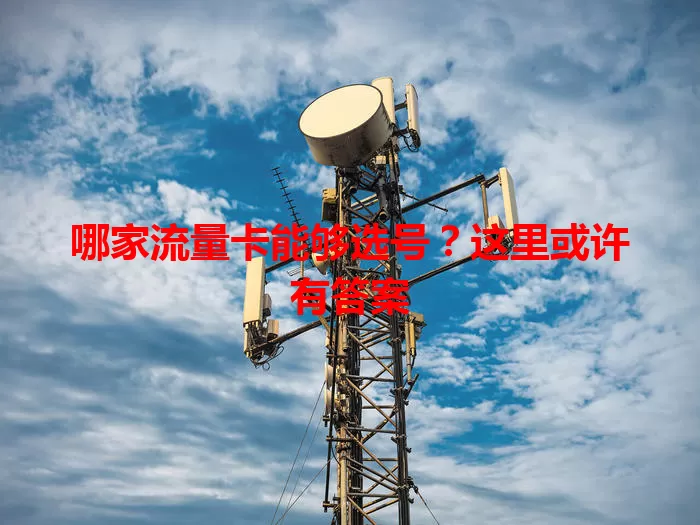 哪家流量卡能够选号？这里或许有答案