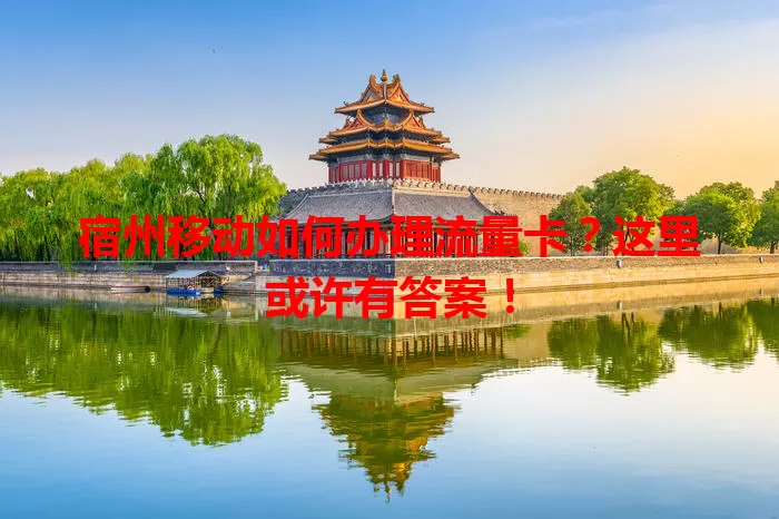 宿州移动如何办理流量卡？这里或许有答案！