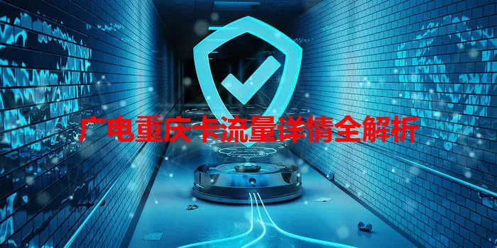 广电重庆卡流量详情全解析