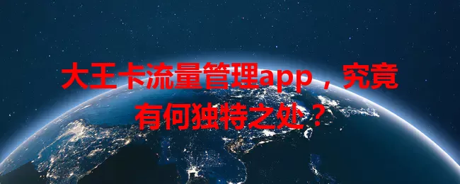 大王卡流量管理app，究竟有何独特之处？