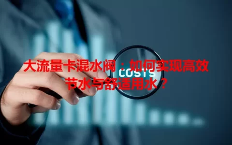 大流量卡混水阀：如何实现高效节水与舒适用水？