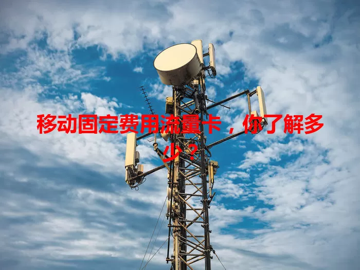 移动固定费用流量卡，你了解多少？