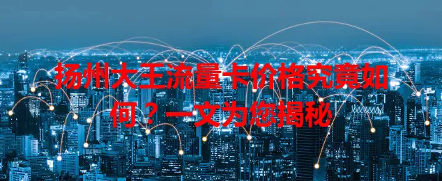 扬州大王流量卡价格究竟如何？一文为您揭秘