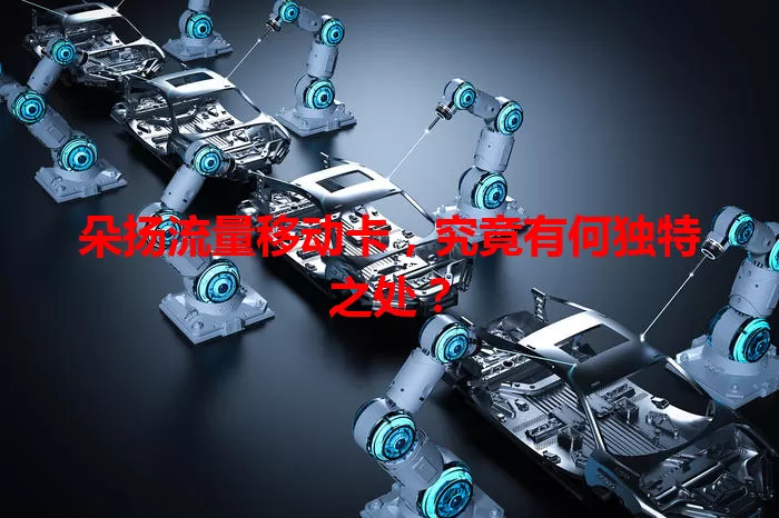 朵扬流量移动卡，究竟有何独特之处？