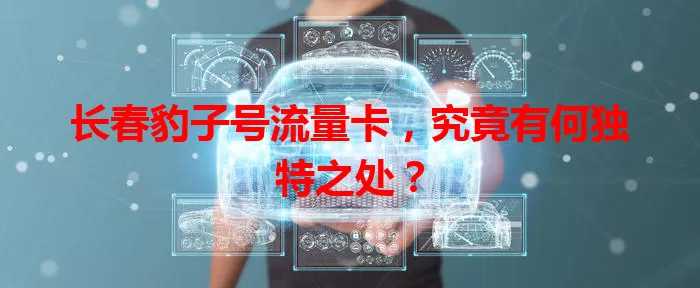 长春豹子号流量卡，究竟有何独特之处？