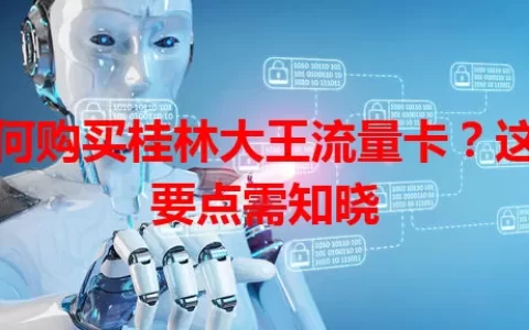 如何购买桂林大王流量卡？这些要点需知晓
