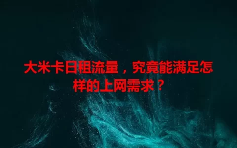 大米卡日租流量，究竟能满足怎样的上网需求？