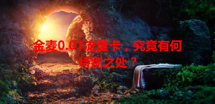金麦0.01流量卡，究竟有何特别之处？