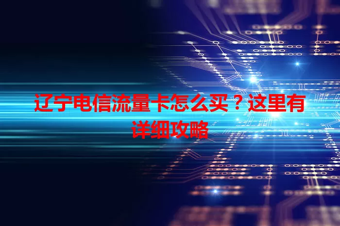 辽宁电信流量卡怎么买？这里有详细攻略