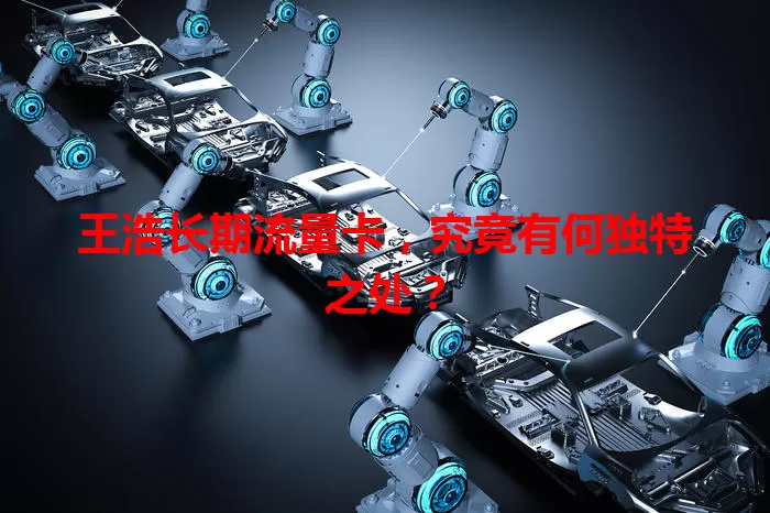 王浩长期流量卡，究竟有何独特之处？