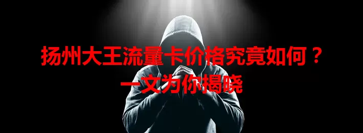 扬州大王流量卡价格究竟如何？一文为你揭晓