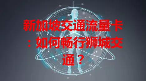 新加坡交通流量卡：如何畅行狮城交通？