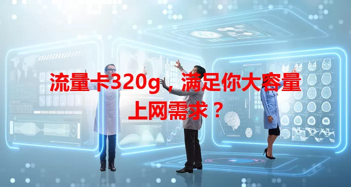 流量卡320g，满足你大容量上网需求？