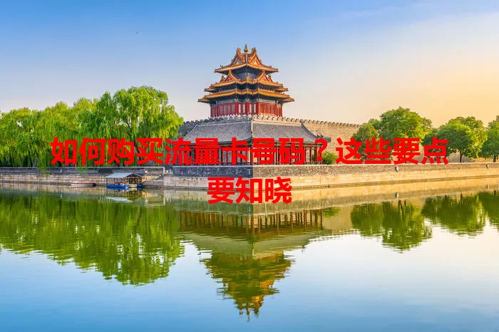 如何购买流量卡号码？这些要点要知晓